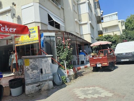 Fotoğraf 12