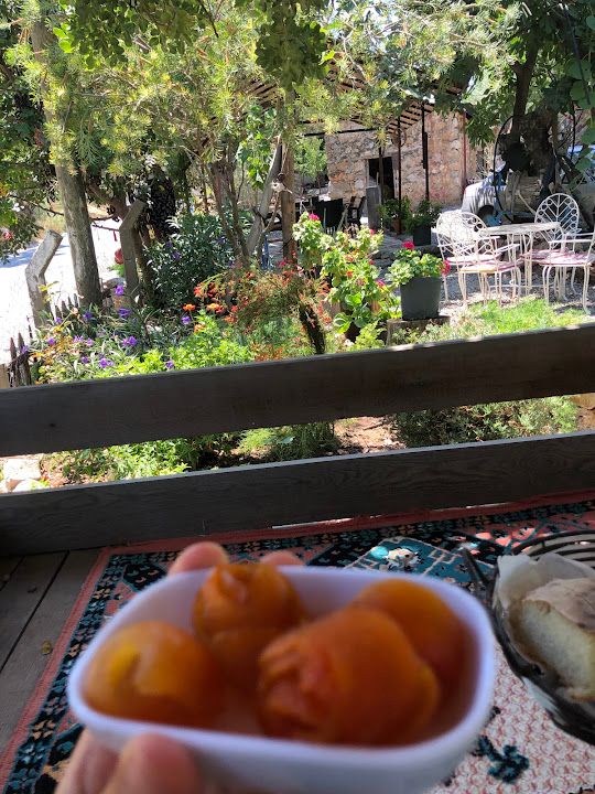 Fotoğraf 13