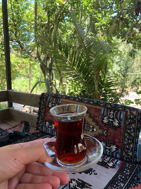 Fotoğraf 16