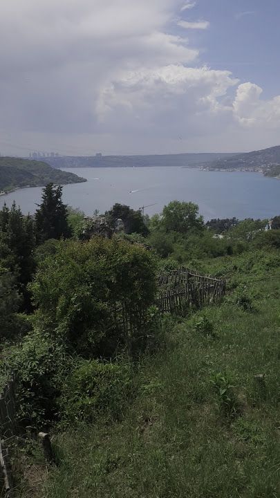 Fotoğraf 70