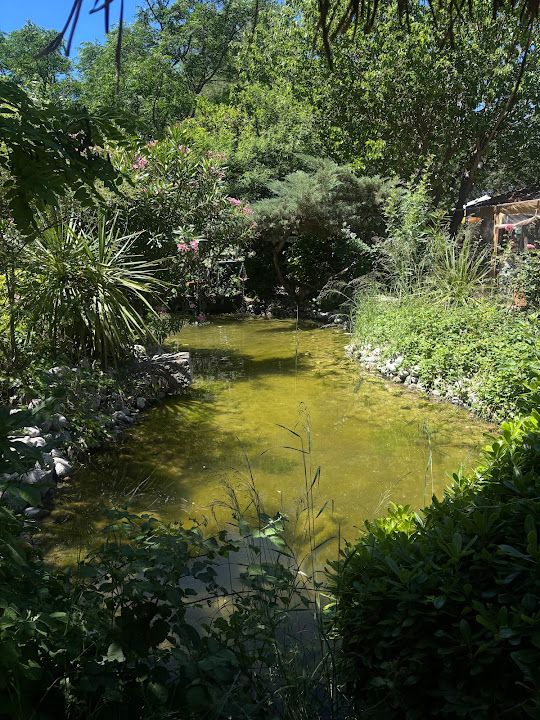 Fotoğraf 30
