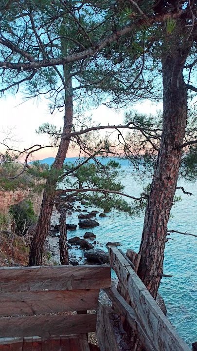 Fotoğraf 35