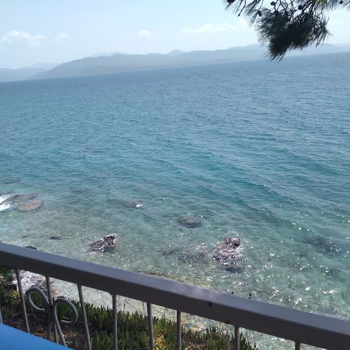 Yorum fotoğrafı 3