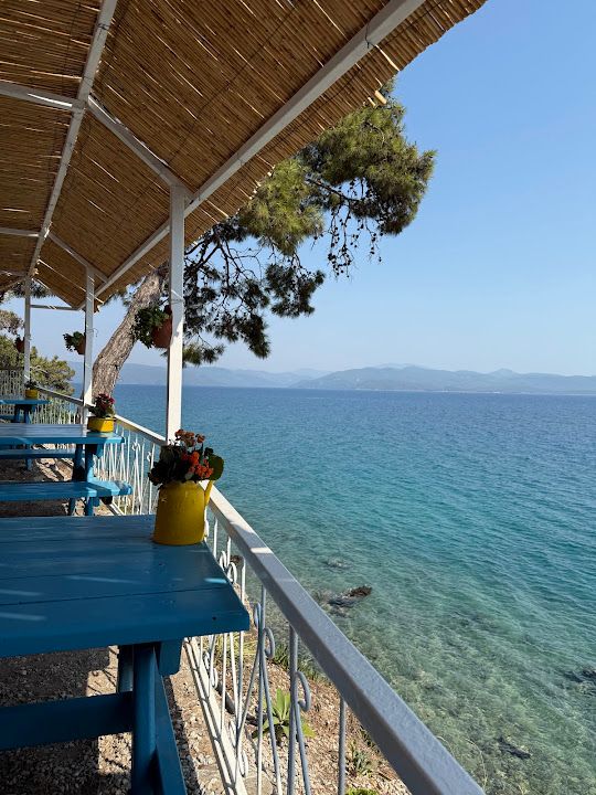 Fotoğraf 23