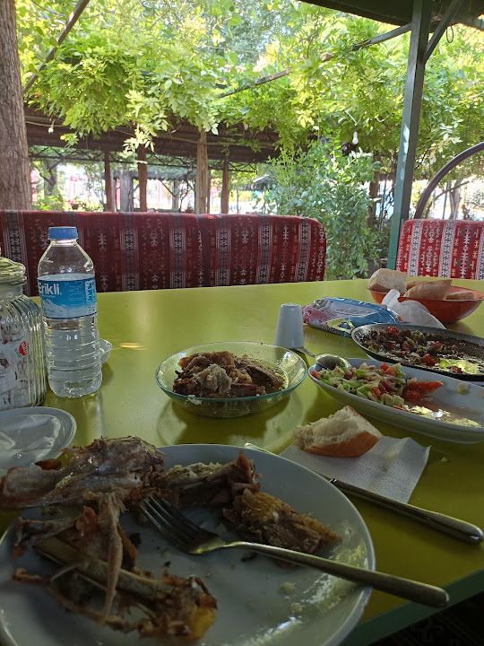 Yorum fotoğrafı 3