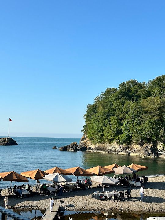 Yorum fotoğrafı 2