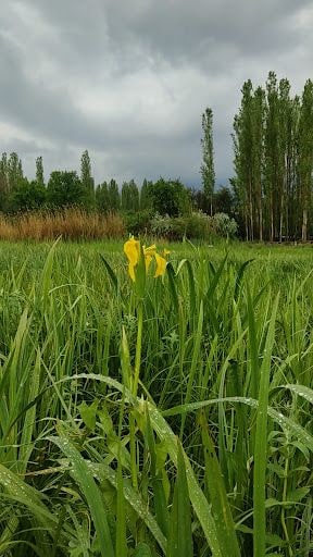 Yorum fotoğrafı 6