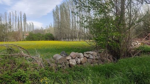 Yorum fotoğrafı 8