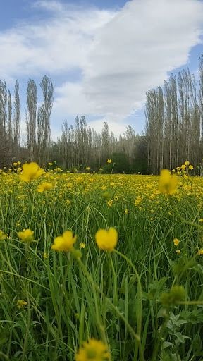 Yorum fotoğrafı 9
