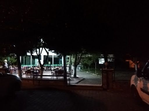 Fotoğraf 16