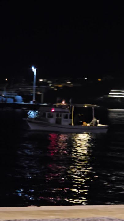 Fotoğraf 30