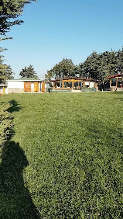 Fotoğraf 29