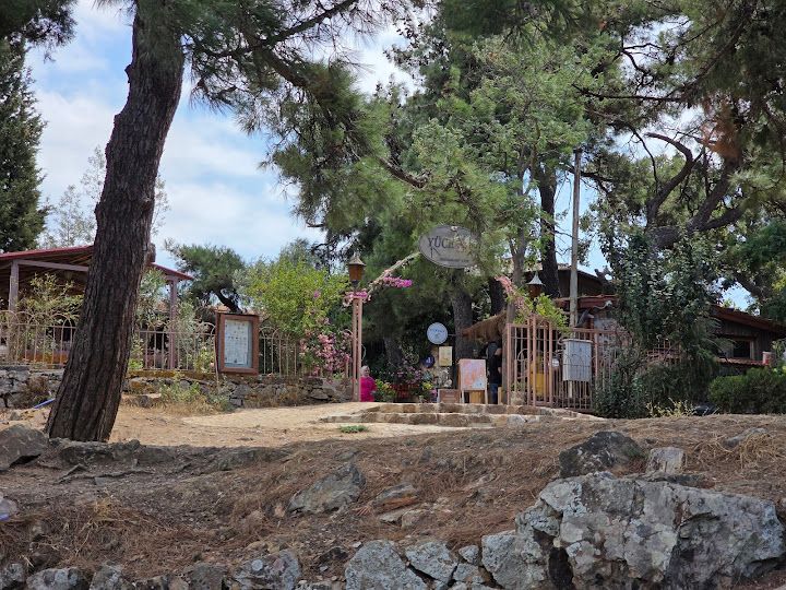 Fotoğraf 19
