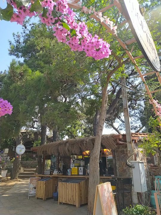 Fotoğraf 30