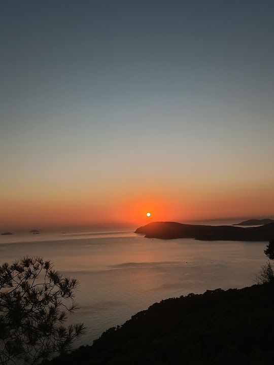 Fotoğraf 76