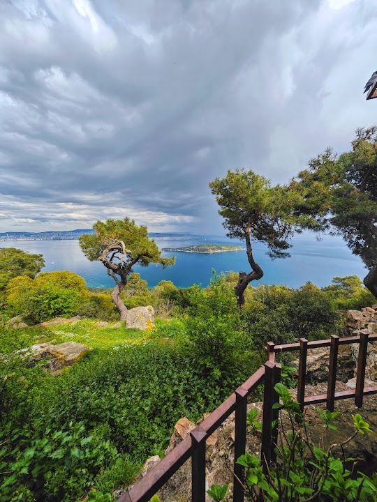 Fotoğraf 79
