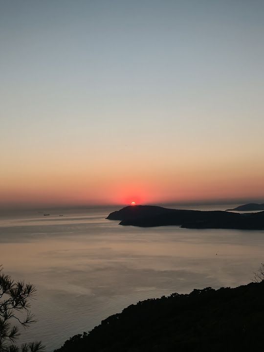Fotoğraf 77