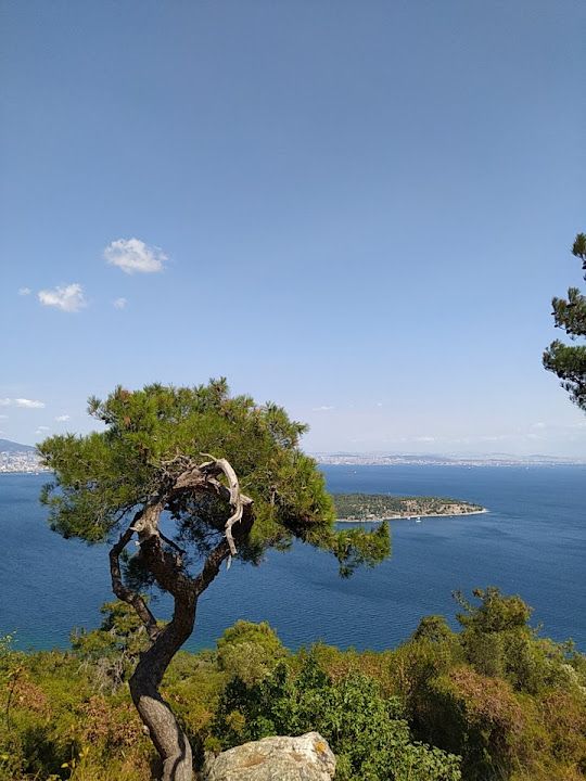 Fotoğraf 29