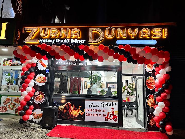 Zurna Dünyası