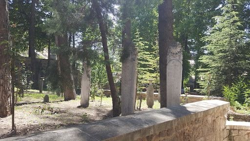 Yorum fotoğrafı 3
