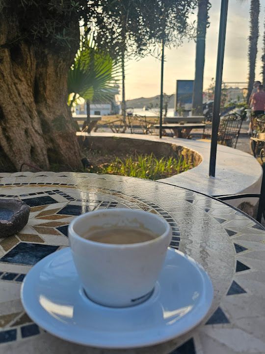 Fotoğraf 24