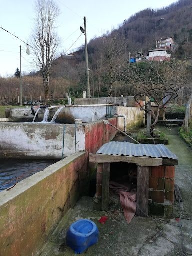 Fotoğraf 32