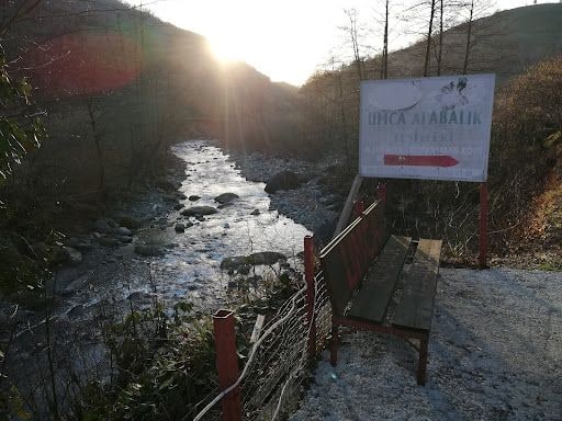 Fotoğraf 24