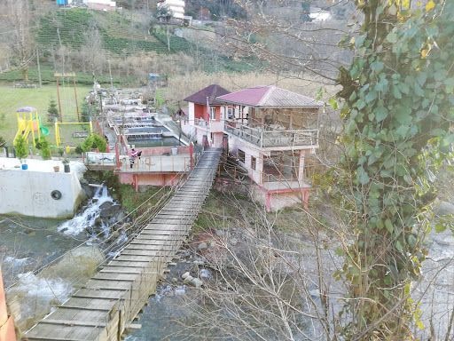 Fotoğraf 25