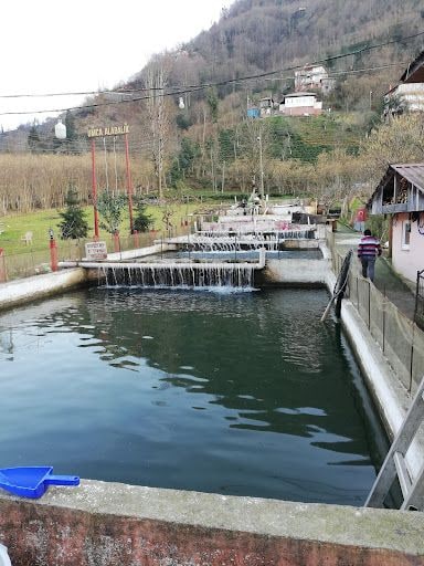 Fotoğraf 27