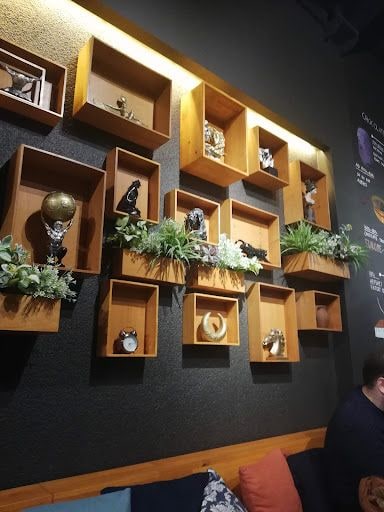 Yorum fotoğrafı 8