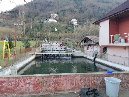 Fotoğraf 30