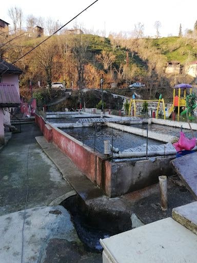 Fotoğraf 31