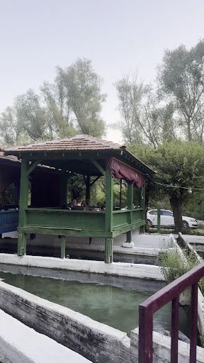 Fotoğraf 33