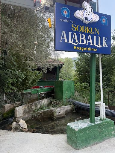 Fotoğraf 36