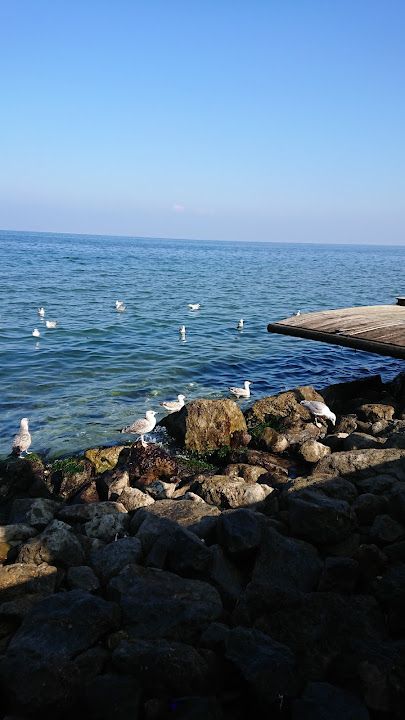 Fotoğraf 25