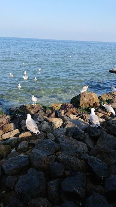 Fotoğraf 24