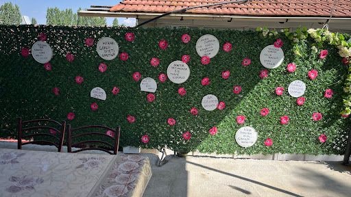 Fotoğraf 25