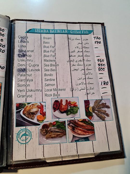 Fotoğraf 35