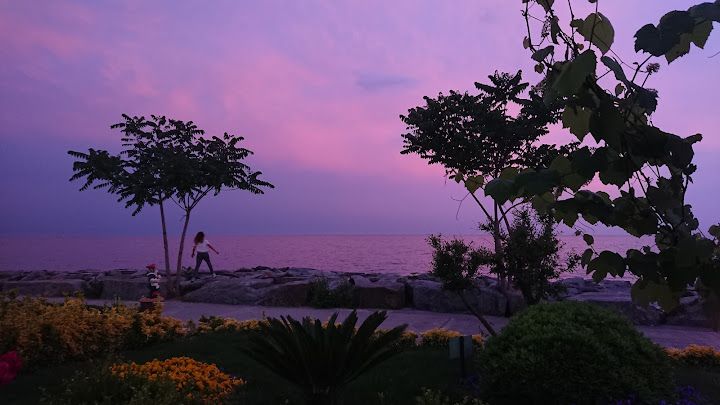 Fotoğraf 49