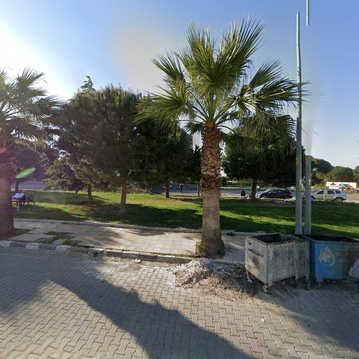 Fotoğraf 8