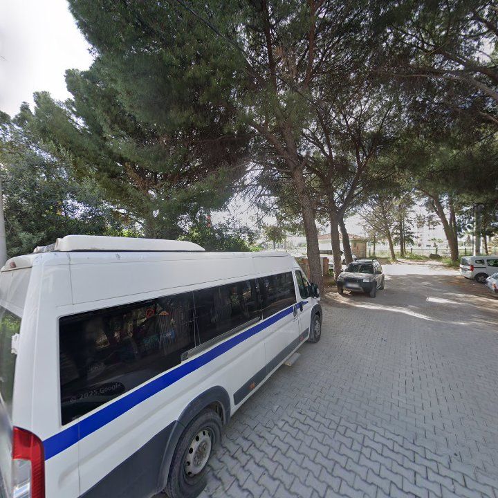 Fotoğraf 10