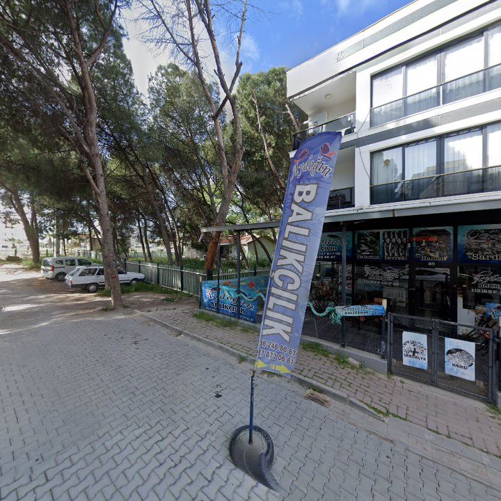 Fotoğraf 11