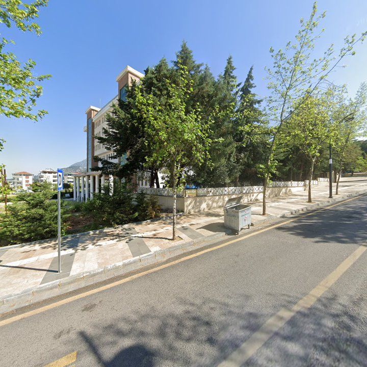 Fotoğraf 11