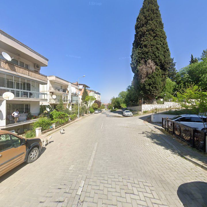 Fotoğraf 3