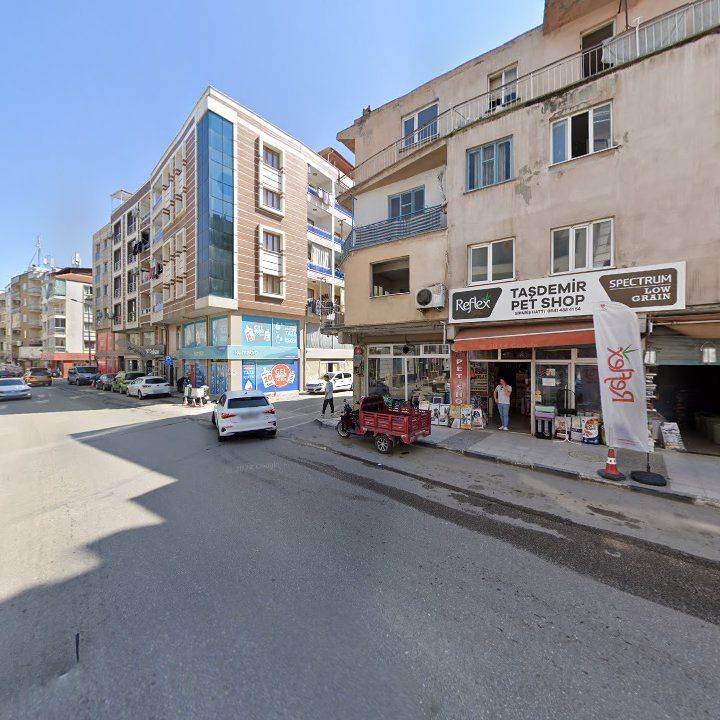 Fotoğraf 6