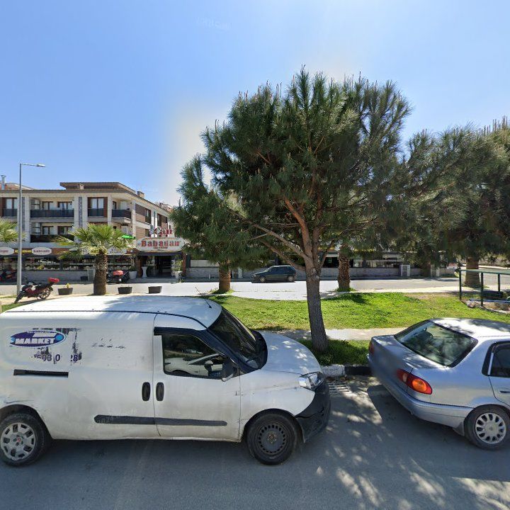 Fotoğraf 8