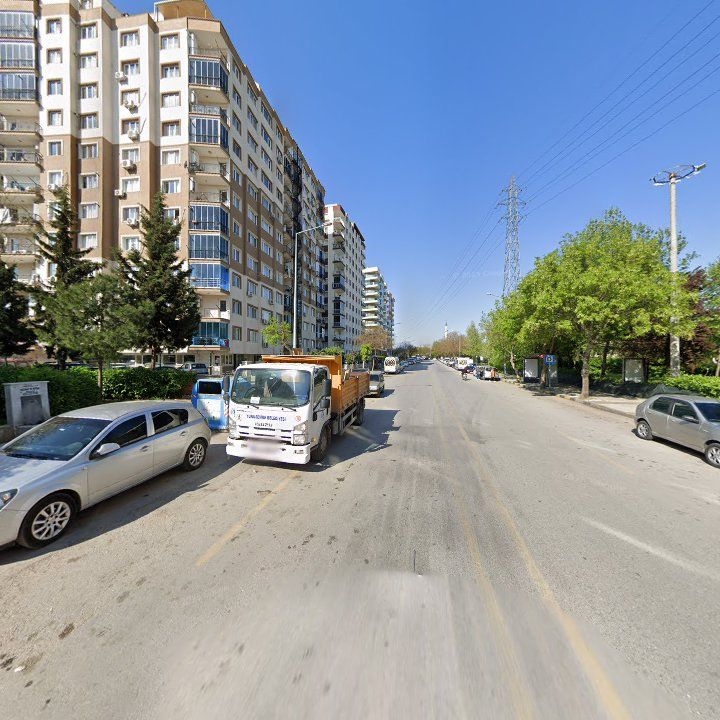 Fotoğraf 9