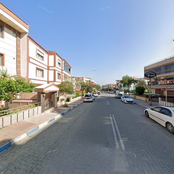 Fotoğraf 11
