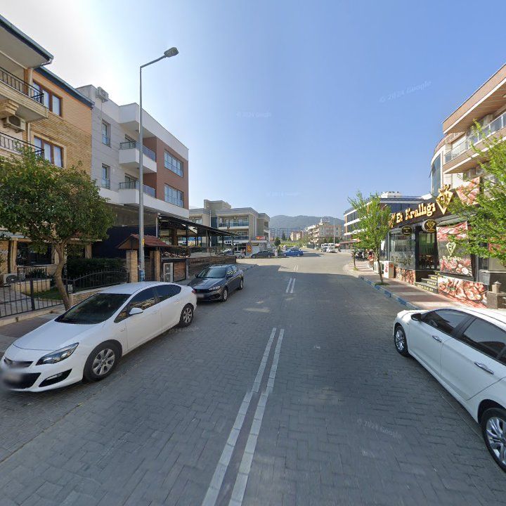 Fotoğraf 9