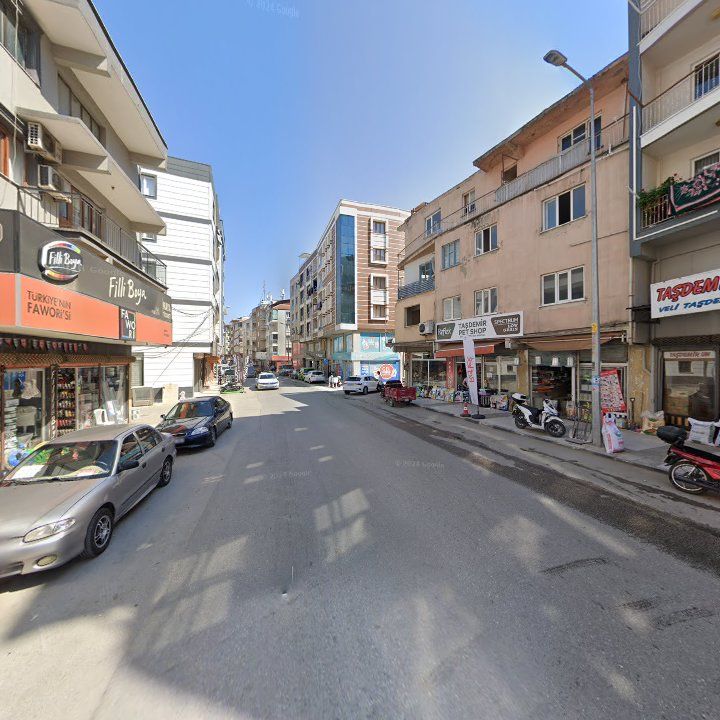 Fotoğraf 3